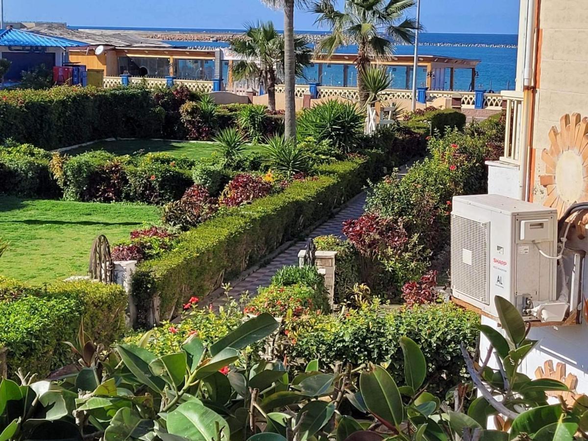 Apartment Sea View Garden Retreat: Family-friendly Luxury Alexandria